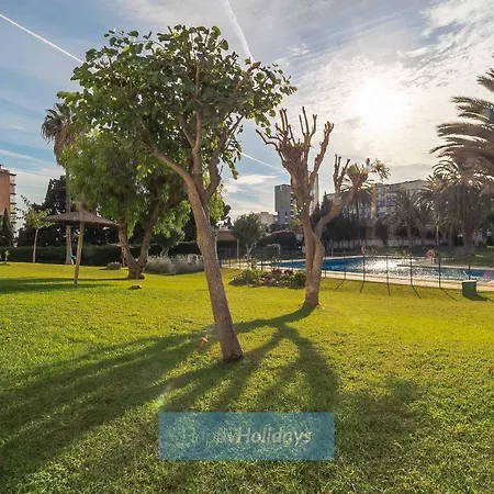 Apartment Hh Sur *